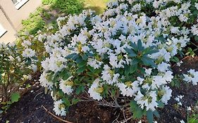 Best Western Hotel Danderyd